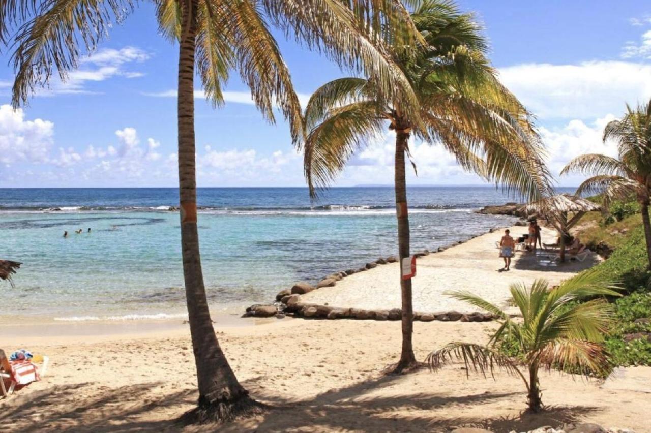 Archipel - Cocon D'Une Architecte En Guadeloupe Saint-Francois  Zewnętrze zdjęcie